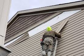 Best Fiber Cement Siding Installation  in Seagoville, TX